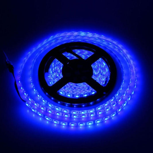 12v 2835 LED Strip Light 120 LEDs/meter - Blue (5 Meter Pack)