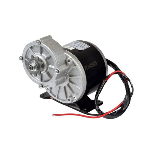350W E-Bike Geared Motor 300 RPM 24V DC MY1016Z3