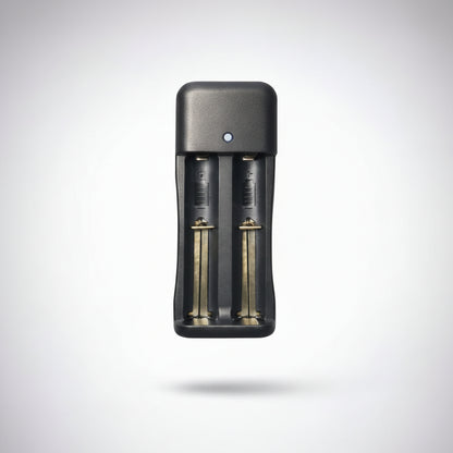 4.2V 450mA Dual Li-ion Universal Battery Charger (MH-X282)
