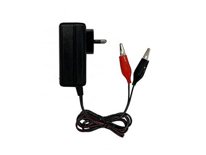 Callsa 6 V 1 Amp Fast Battery Charger with Double Indicator (AC Input 220v 50Hz Dc Output 6 Volt 1 Amp) SMPS Battery Charger with Battery Clip Red and Black