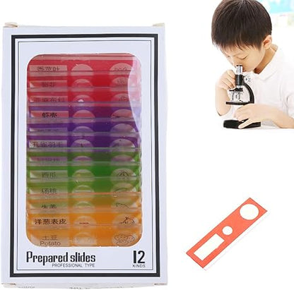 DIY 12 Kinds Prepared Microscope Slides Of Animals Flowers Insects Sample Specimens Biological Microscope