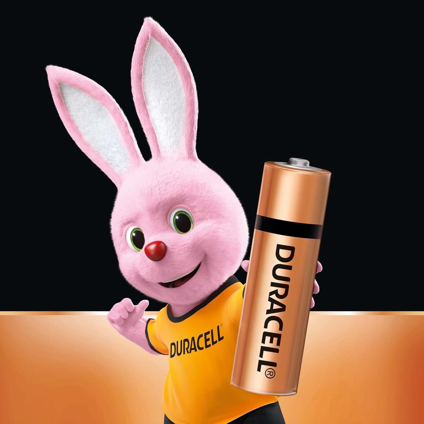 AA Duracell Alkaline Batteries (Pack of 1)