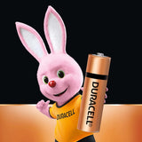 AA Duracell Alkaline Batteries (Pack of 10)