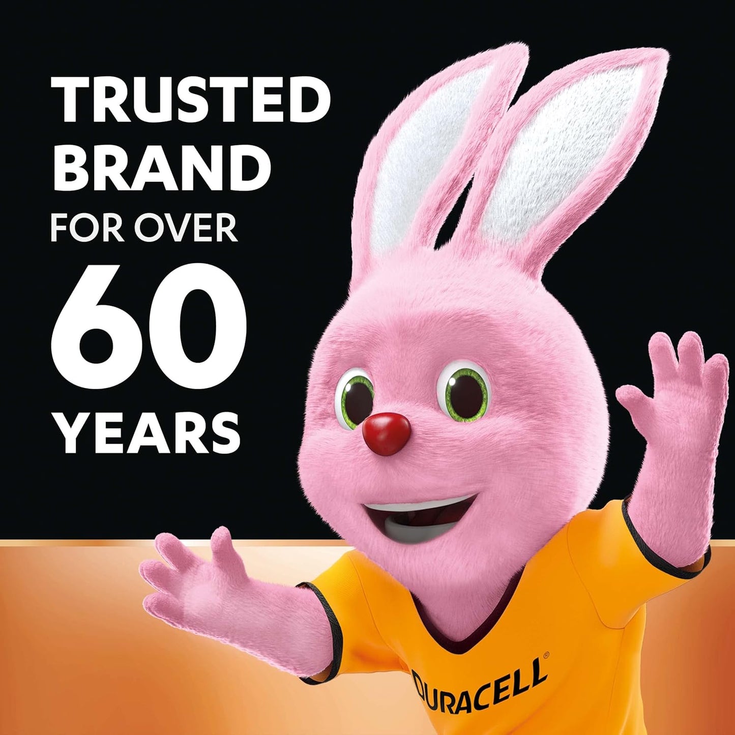 AA Duracell Alkaline Batteries (Pack of 1)