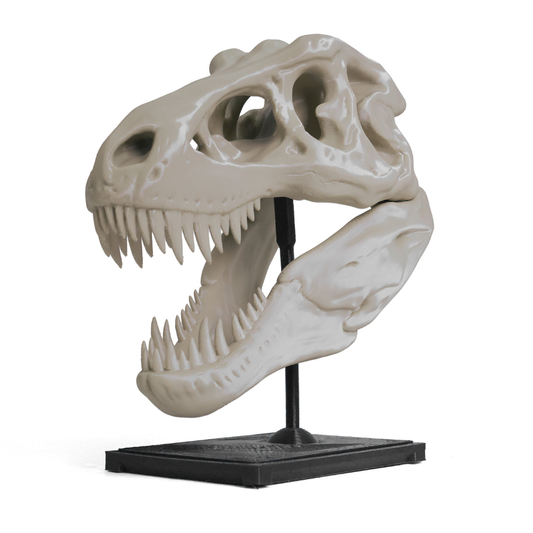Numakers PLA+ Filament – Bone White – 1.75 mm / 1 kg