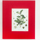 CEYLON TEA : THE TRADE THAT MADE A NATION (HARDCOVER) OLD BOOK