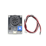 Digital Speaker Module