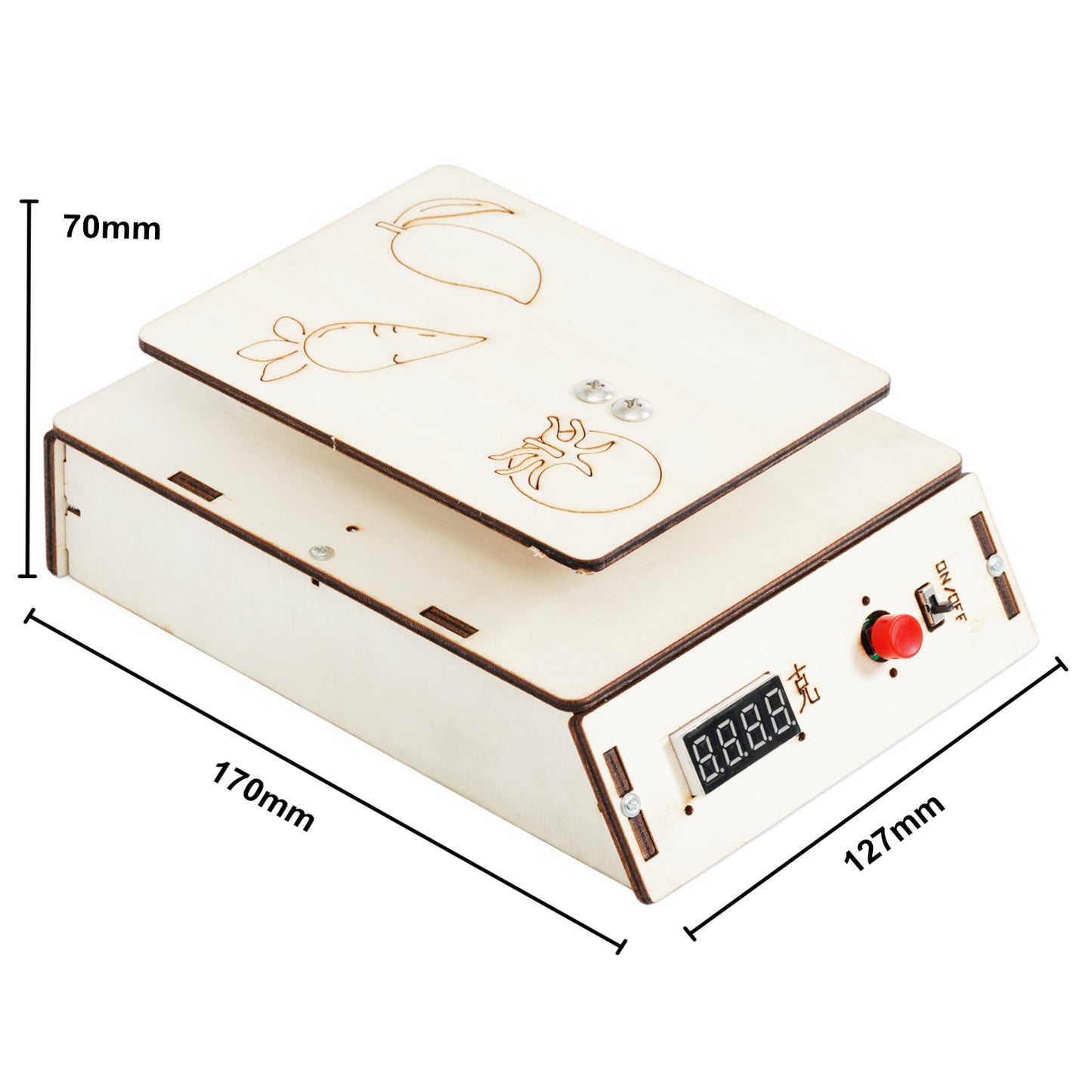 DIY ELECTRONIC SCALE Electric Experiment Kit Wooden Assemble (A-46 )