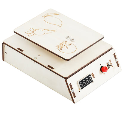 DIY ELECTRONIC SCALE Electric Experiment Kit Wooden Assemble (A-46 )