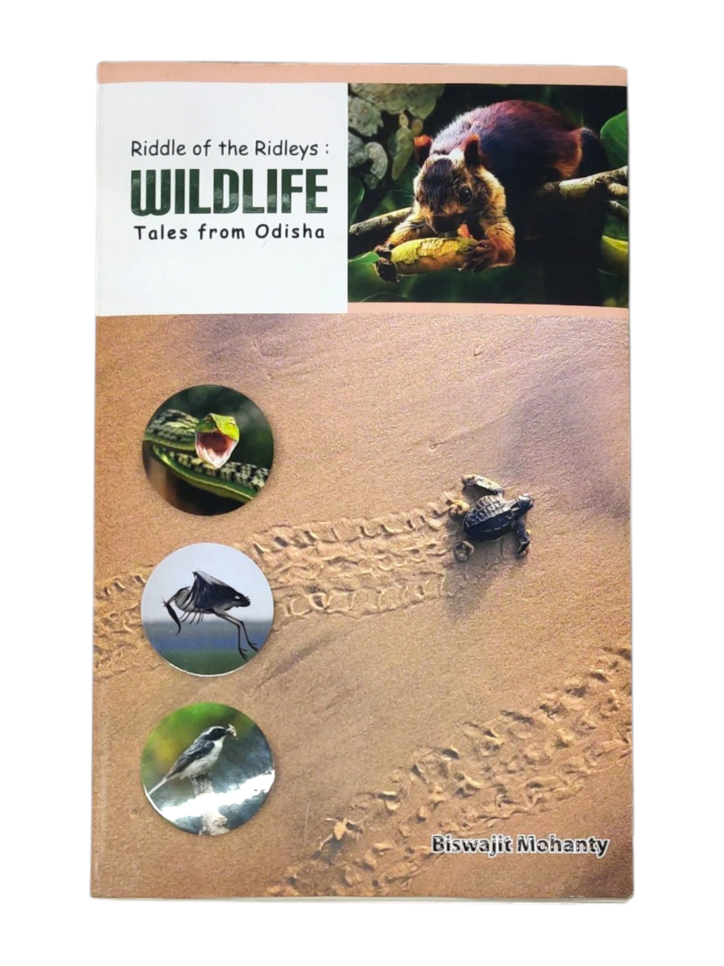 Riddle of the Ridleys: Wildlife Tales from Odisha By Biswajit Mohanty (Paperback)