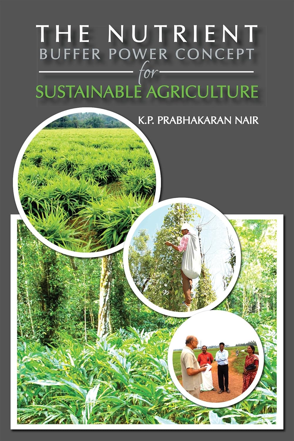 THE NUTRIENT : BUFFER POWER CONCEPT FOR SUSTAINABLE AGRICULTURE BY K.P. PRABHAKARAN NAIR [HARDCOVER]