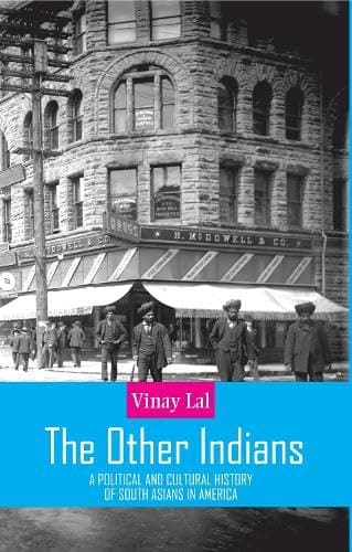 THE OTHER INDIANS : A POLITICAL AND CULTURAL HISTORY OF SOUTH ASIANS IN AMERICA BY VINAY LAL (HARDCOVER) OLD BOOK
