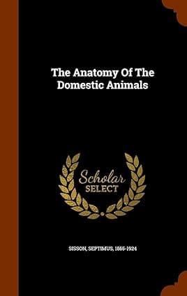 THE ANATONY OF THE DOMESTIC ANIMALS BY SEPTIMUS SISSION (HARDCOVER)