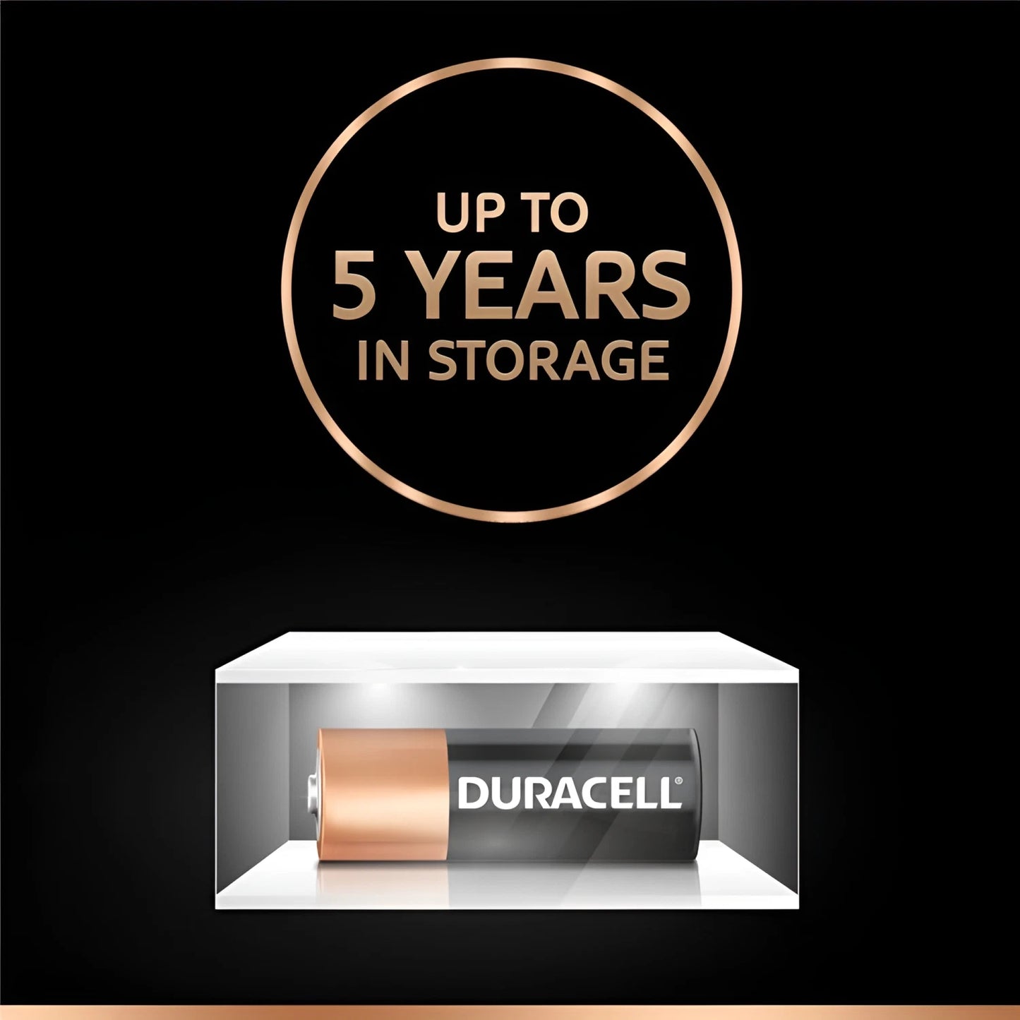 Duracell MN21 ( A23 ) 12V Alkaline Battery (Pack Of 2)