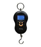 Portable Electronic Weighing Scale - 50KG
