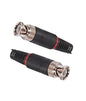 BNC Male Connector - 1 Pc