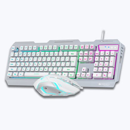 ZEBRONICS Transformer Premium Gaming Keyboard & Mouse Combo (White + Silver)